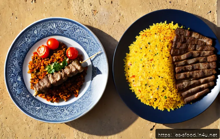 이란 케밥과 터키 케밥 차이 - Photorealistic food comparison scene, two elegant ceramic plates side by side on a rustic Mediterran...
